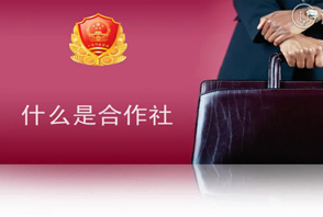 什么是农民专业合作社