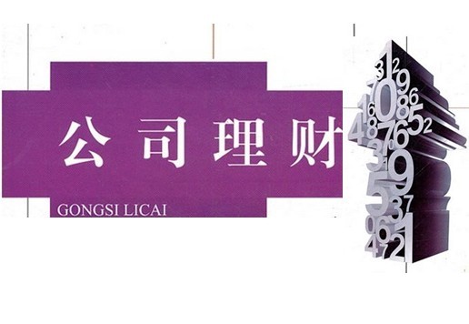 公司理财——现代企业财务管理系统04