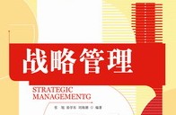 (45)战略计划的组织结构