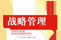 (44)战略实施